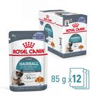 Royal Canin Intense Hairball pienso para gatos, , large image number null